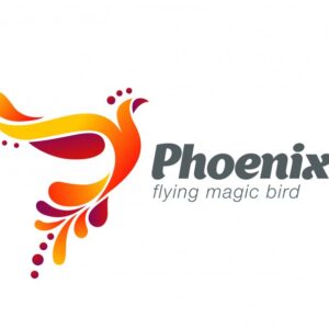 Fairy bird abstract logo